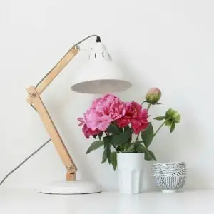 Home hyperlight desk lamp 1